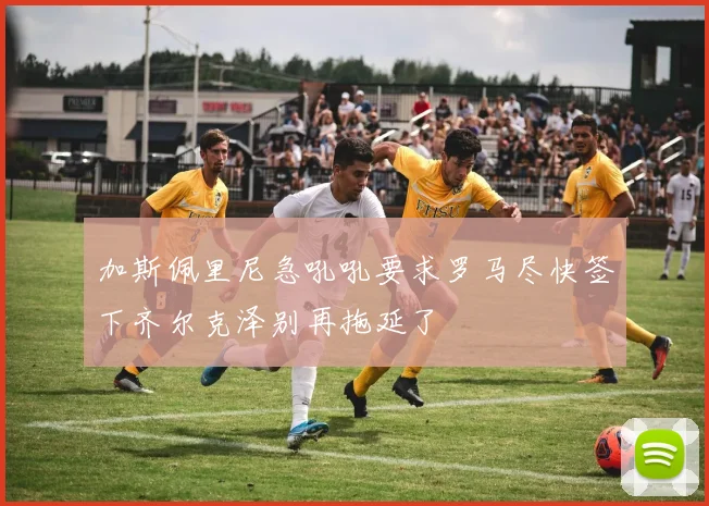 加斯佩里尼急吼吼要求罗马尽快签下齐尔克泽别再拖延了